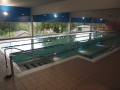 Piscina semiolímpica